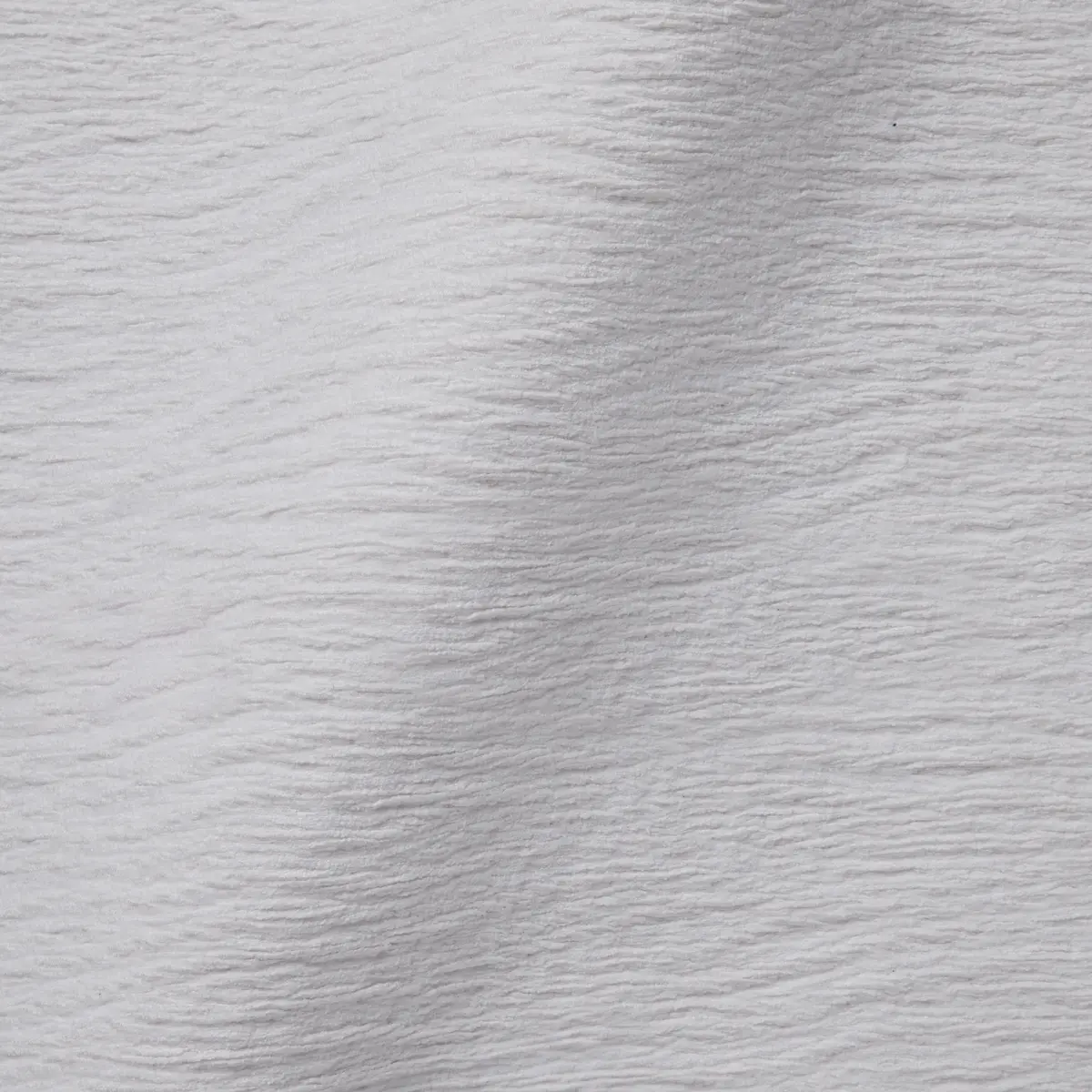 Extinct Animals Dandelion Cranes Paper